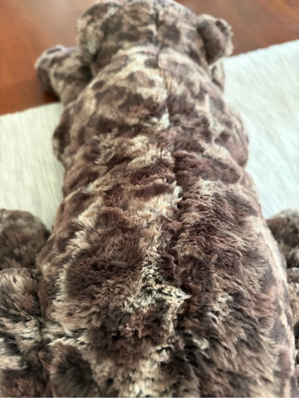 Jellycat brand new
